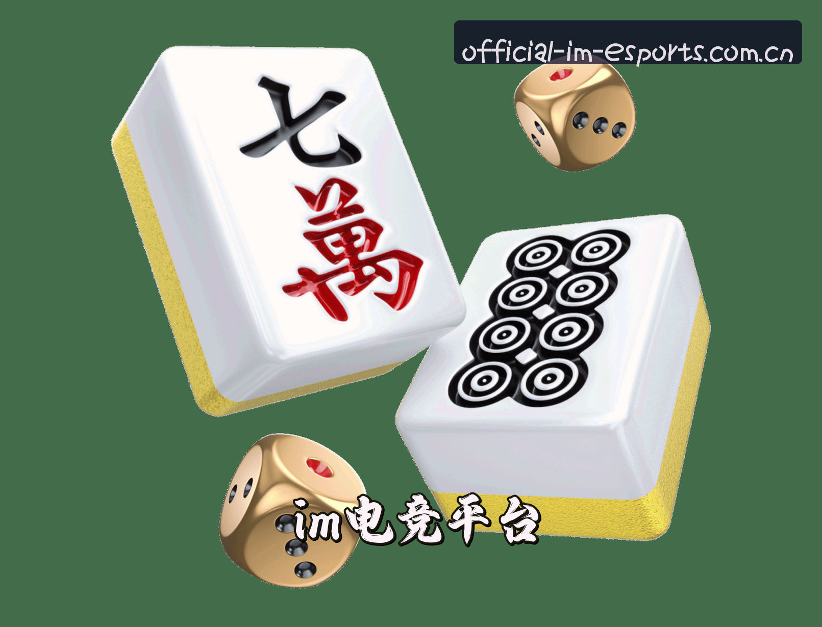 关于我们介绍